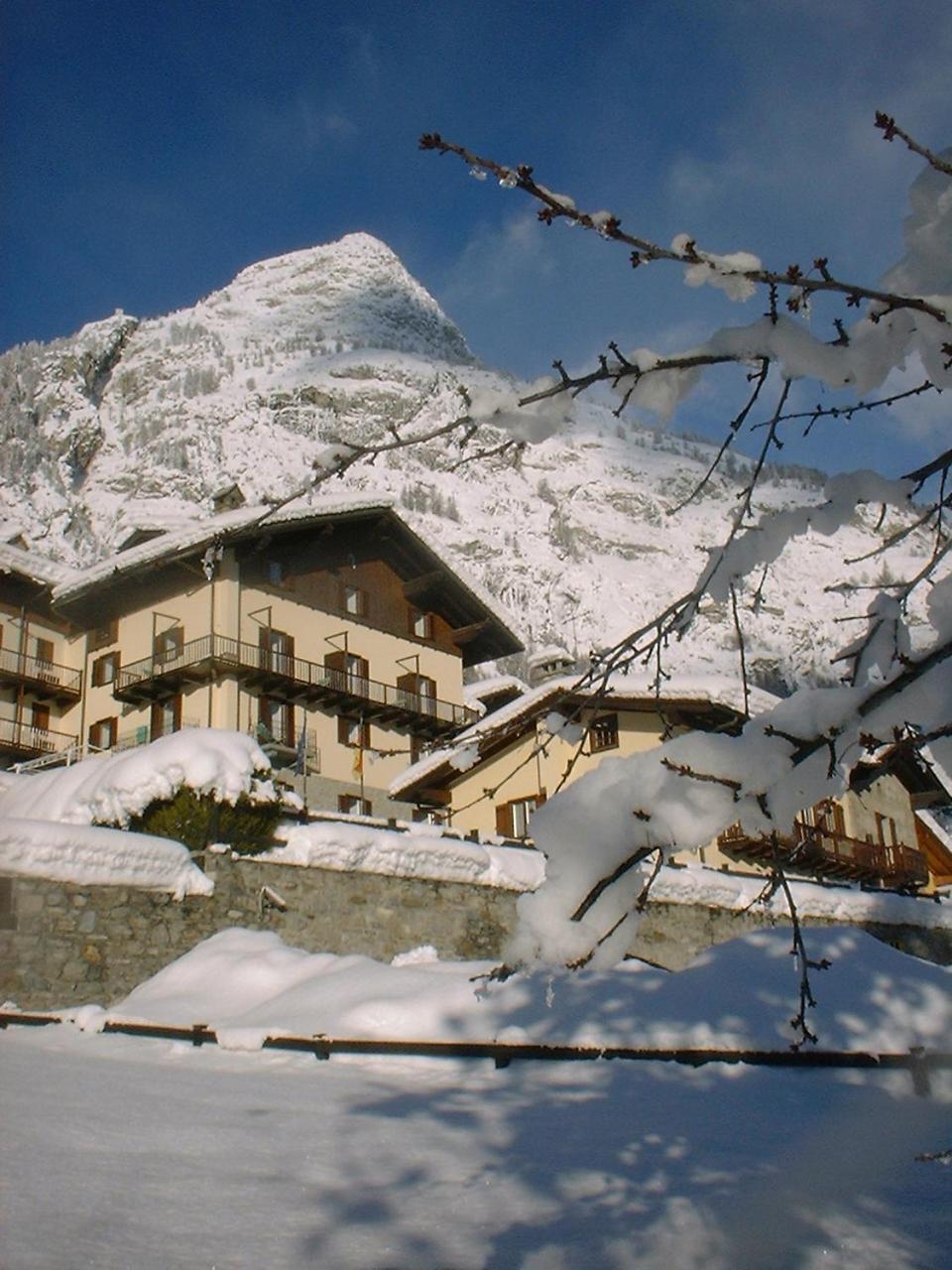 Hotel Ottoz Meuble Courmayeur Ngoại thất bức ảnh